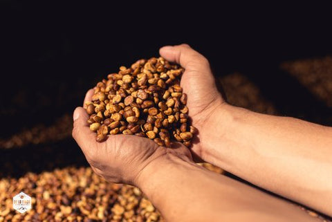 Honduras Decaf Organic
