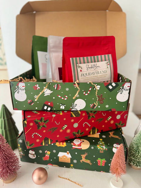 Holiday Box- 3 Pack